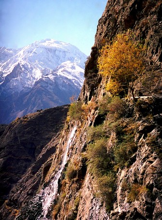 Pakistan